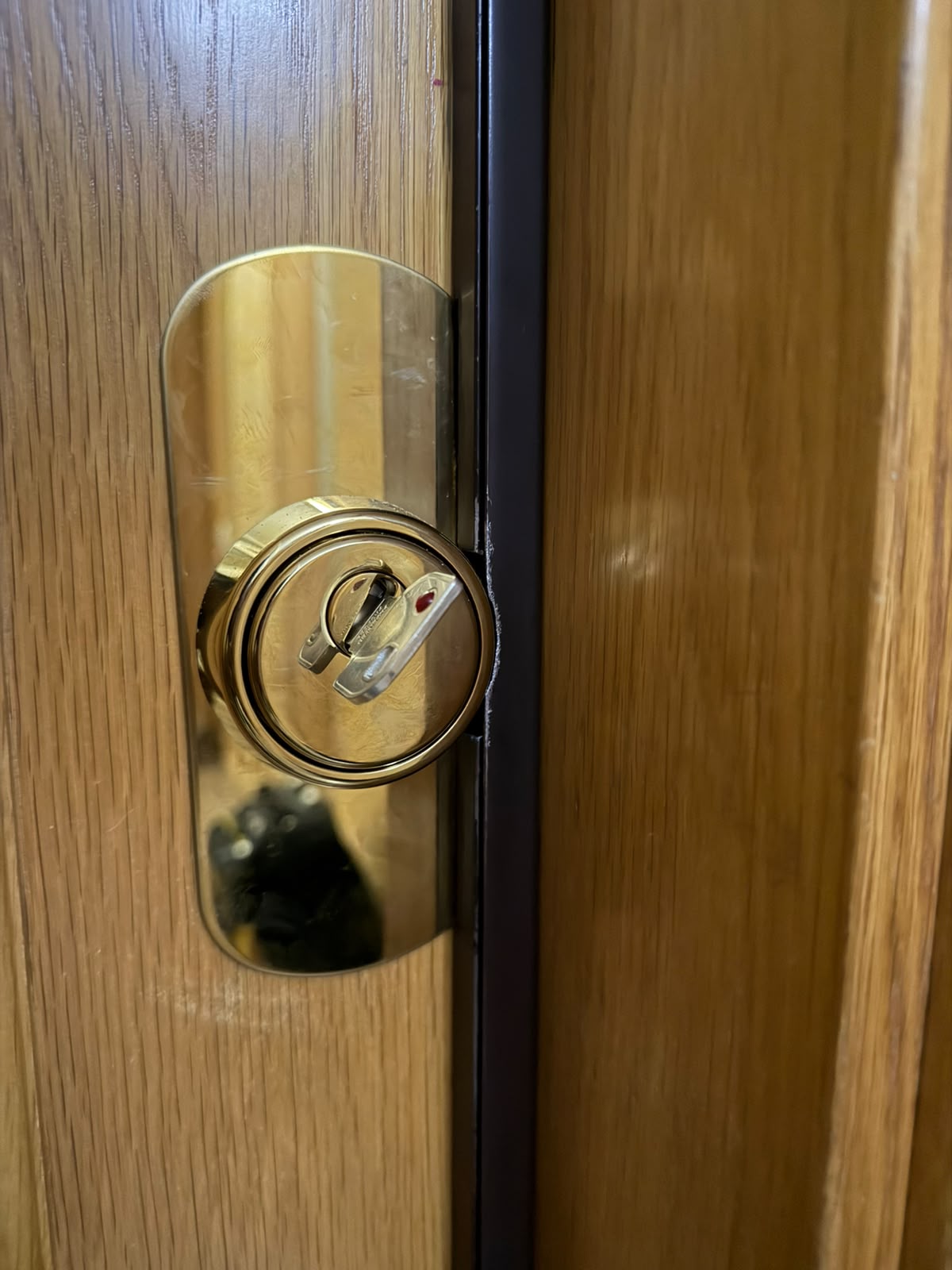 Escudo protector dorado con la llave insertada en el bombín de la puerta