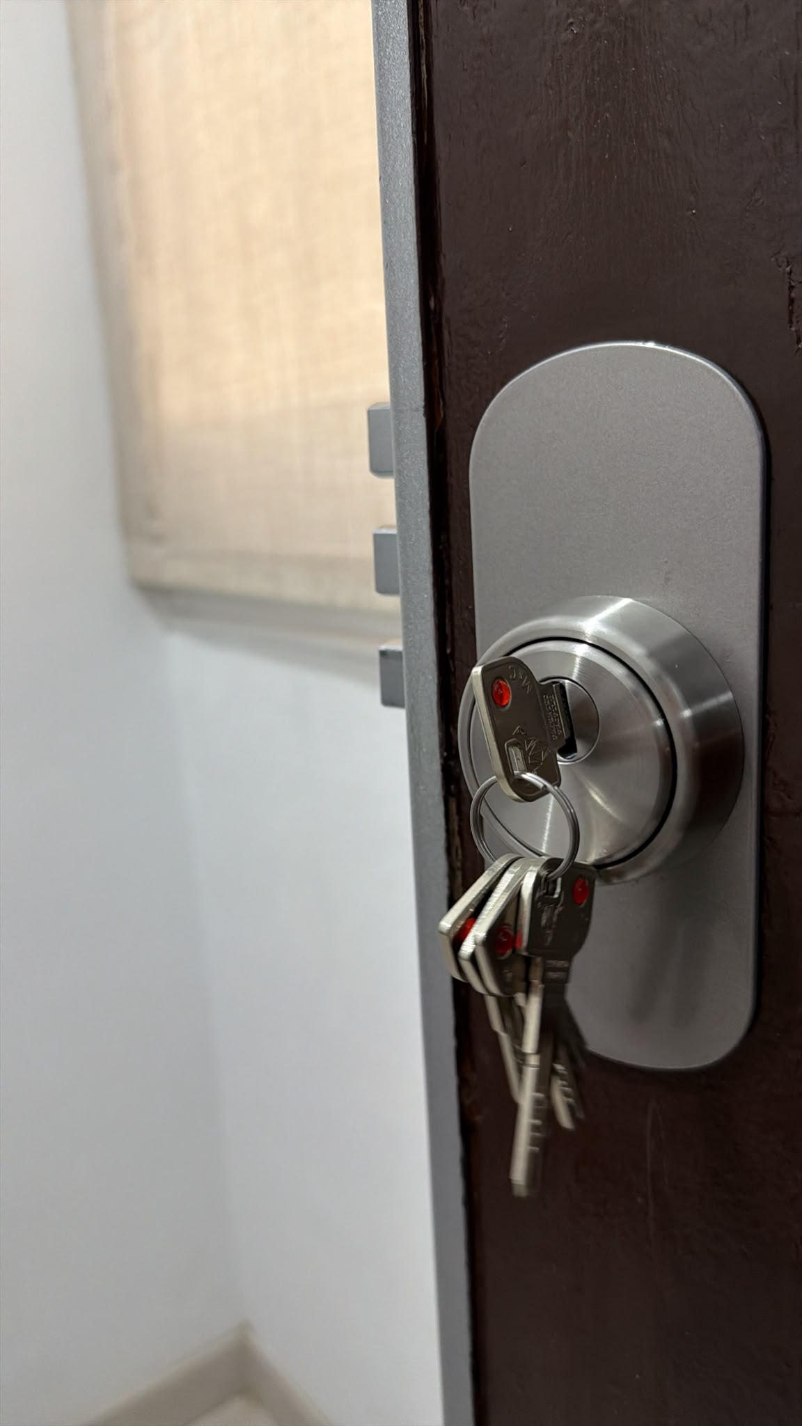 Escudo protector con las llaves insertadas en el bombín de la puerta